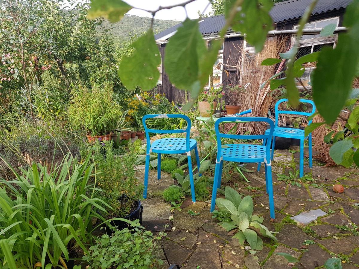 Missel Dene Rodney Stoke Exterior foto